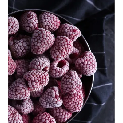 ❄️ Abatidor de temperatura industrial 5 GN hostelería