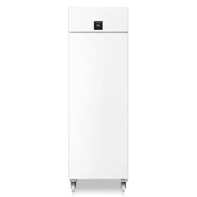 Congelador profesional -35ºC Liebherr SFPvh 6501 Perfection