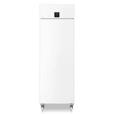 Congelador profesional GN 2/1 Liebherr SFPvg 6501