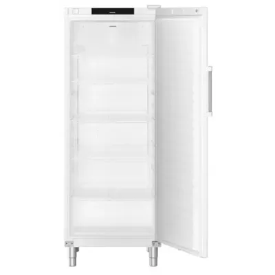 Nevera industrial grande 655L Liebherr FRFvg 6501
