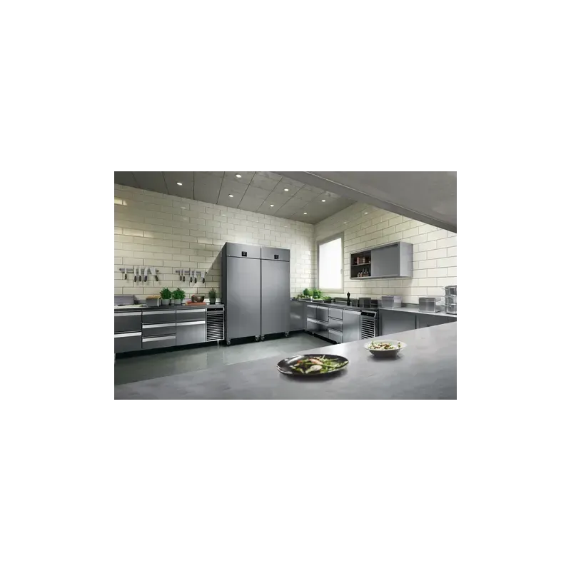 Nevera profesional táctil conectada Liebherr FRPSvh 6501